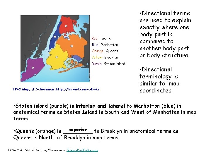 Red: Bronx Blue: Manhattan Orange: Queens Yellow: Brooklyn Purple: Staten island NYC Map, J.
