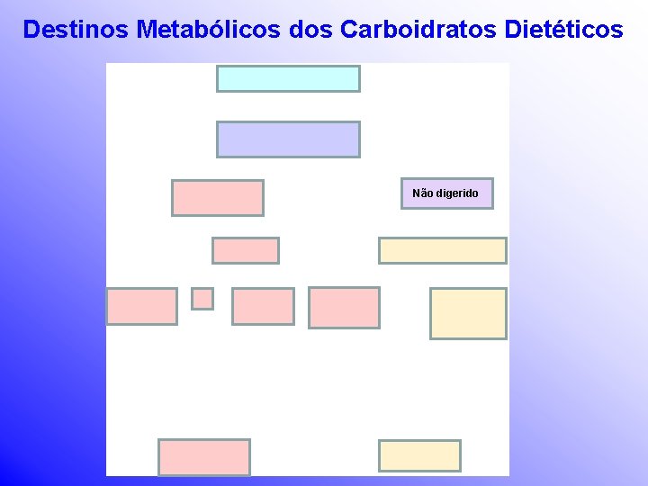 Destinos Metabólicos dos Carboidratos Dietéticos Não digerido 