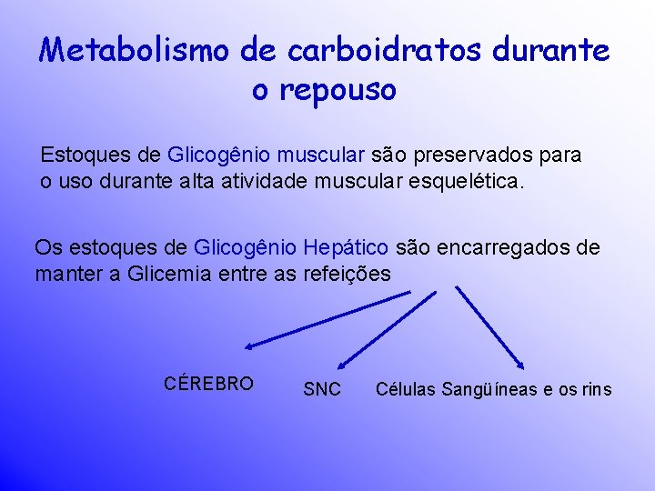 Metabolismo de carboidratos durante o repouso Estoques de Glicogênio muscular são preservados para o