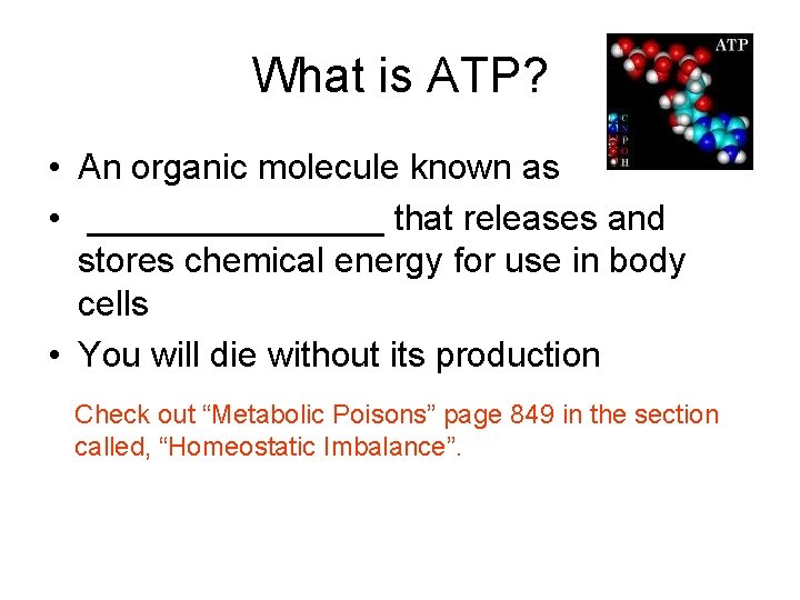 What is ATP? • An organic molecule known as • ________ that releases and