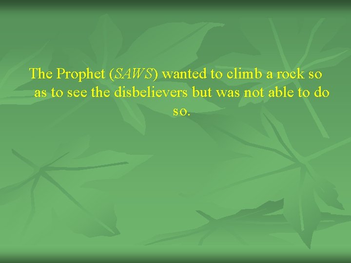 The Prophet (SAWS) wanted to climb a rock so as to see the disbelievers