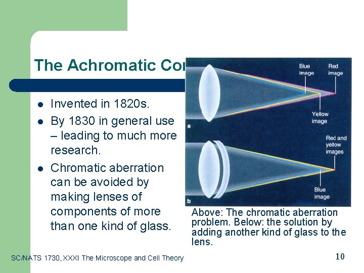 The Achromatic Compound Microscope l l l Invented in 1820 s. By 1830 in