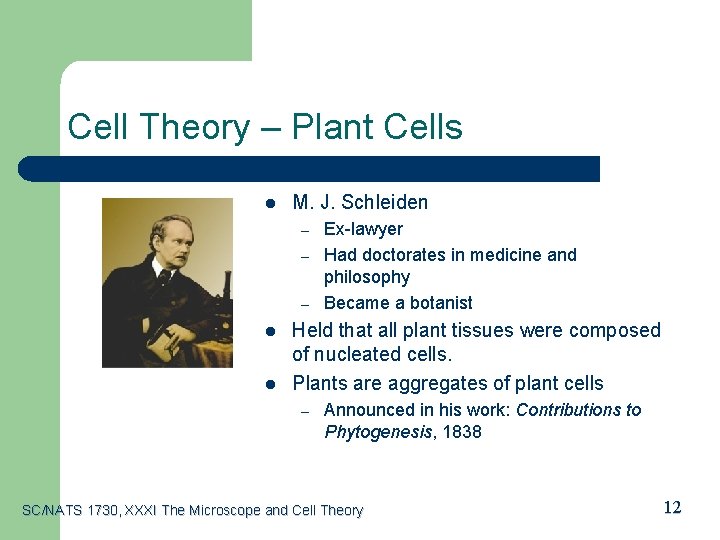 Cell Theory – Plant Cells l M. J. Schleiden – – – l l
