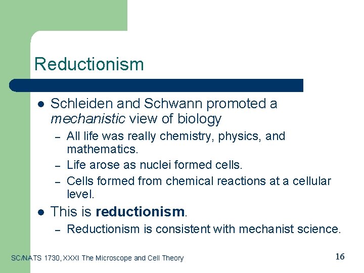 Reductionism l Schleiden and Schwann promoted a mechanistic view of biology – – –