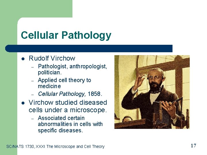 Cellular Pathology l Rudolf Virchow – – – l Pathologist, anthropologist, politician. Applied cell