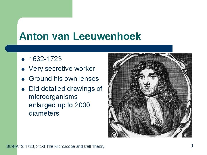 Anton van Leeuwenhoek l l 1632 -1723 Very secretive worker Ground his own lenses