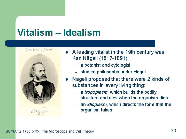 Vitalism – Idealism l A leading vitalist in the 19 th century was Karl