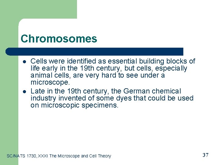 Chromosomes l l Cells were identified as essential building blocks of life early in