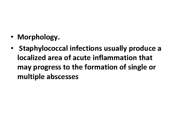  • Morphology. • Staphylococcal infections usually produce a localized area of acute inflammation