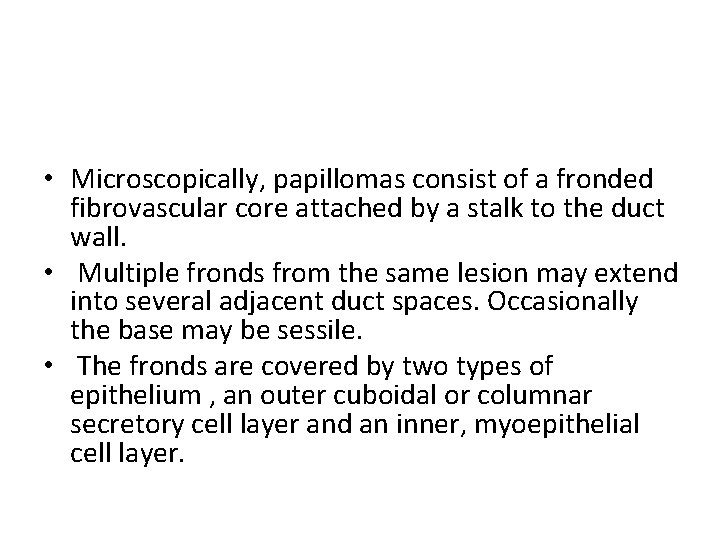  • Microscopically, papillomas consist of a fronded fibrovascular core attached by a stalk