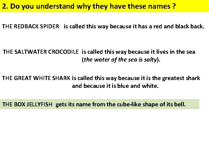 2. Do you understand why they have these names ? THE REDBACK SPIDER is