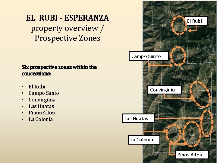 EL RUBI - ESPERANZA property overview / Prospective Zones El Rubi Campo Santo Six