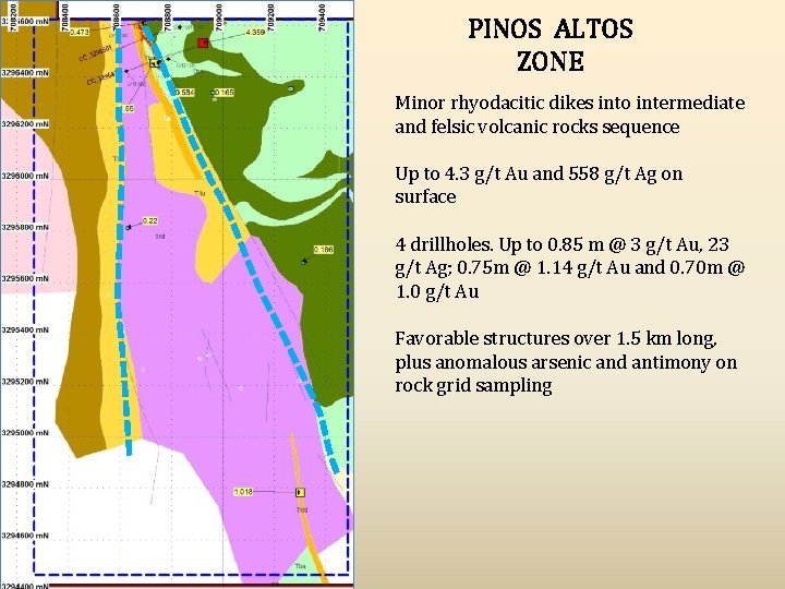 PINOS ALTOS ZONE Minor rhyodacitic dikes into intermediate and felsic volcanic rocks sequence Up