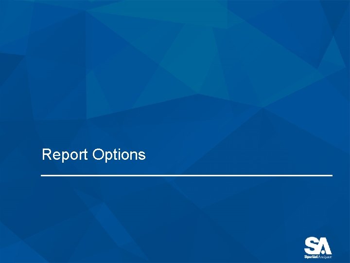 Report Options 