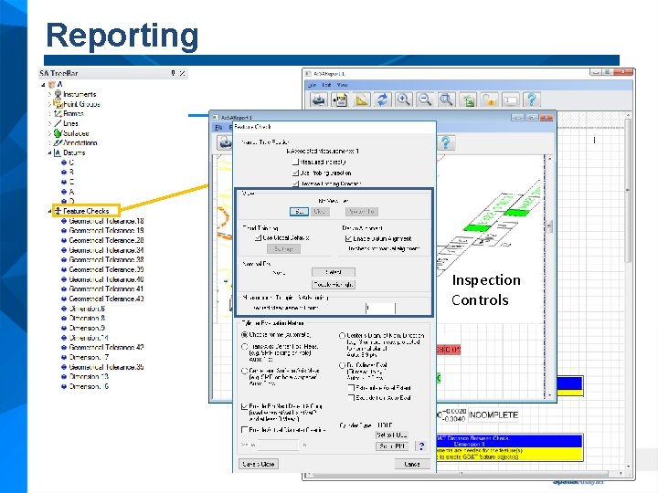 Reporting Inspection Controls 