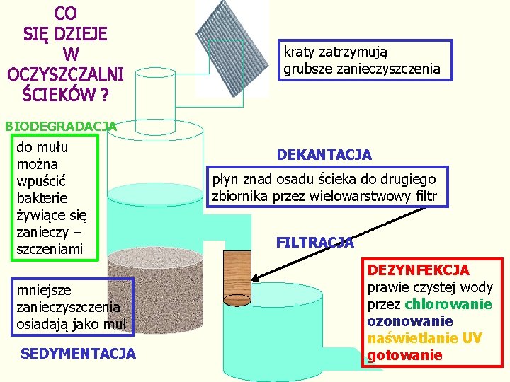 CO SIĘ DZIEJE W OCZYSZCZALNI ŚCIEKÓW ? kraty zatrzymują grubsze zanieczyszczenia BIODEGRADACJA do mułu