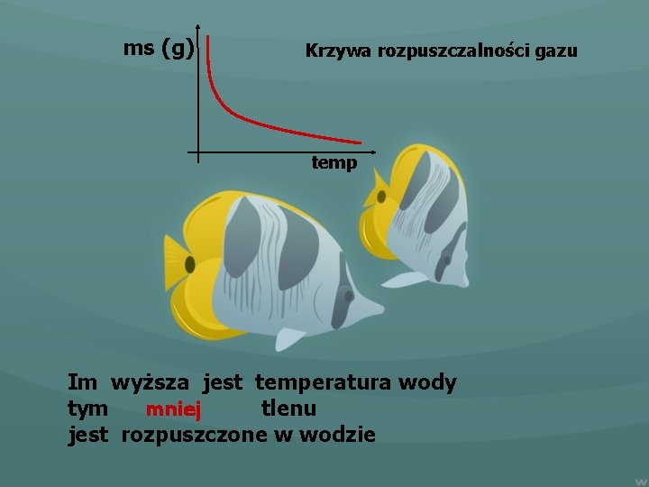 ms (g) Krzywa rozpuszczalności gazu temp Im wyższa jest temperatura wody mniej tym tlenu