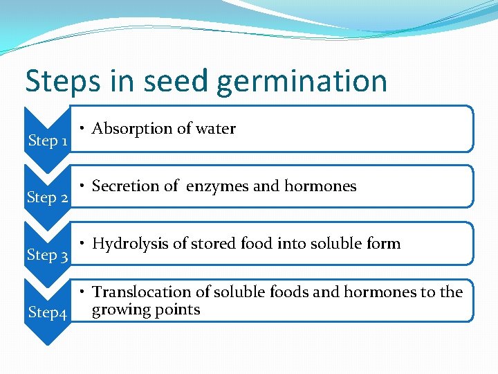 Steps in seed germination Step 1 Step 2 Step 3 • Absorption of water