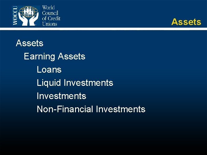 Assets Earning Assets Loans Liquid Investments Non-Financial Investments 
