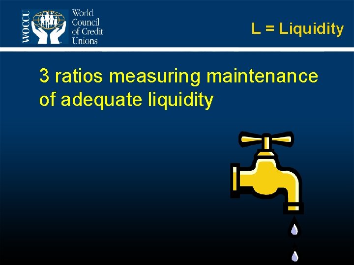 L = Liquidity 3 ratios measuring maintenance of adequate liquidity 