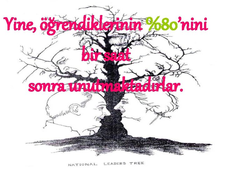 Yine, öğrendiklerinin %80’nini bir saat sonra unutmaktadırlar. 