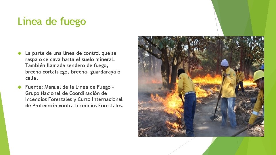 Línea de fuego La parte de una línea de control que se raspa o