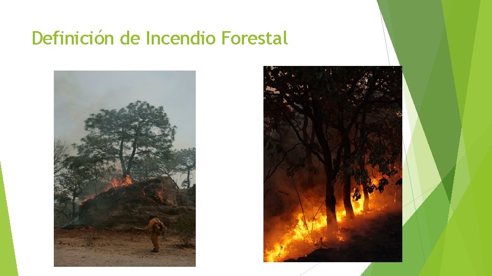 Definición de Incendio Forestal 