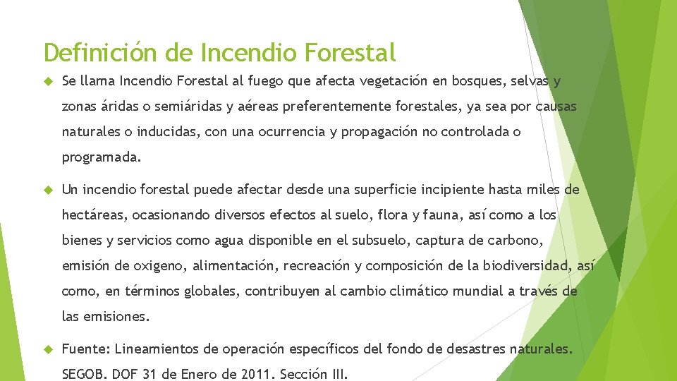 Definición de Incendio Forestal Se llama Incendio Forestal al fuego que afecta vegetación en