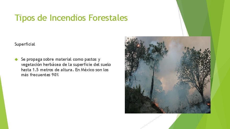 Tipos de Incendios Forestales Superficial Se propaga sobre material como pastos y vegetación herbácea