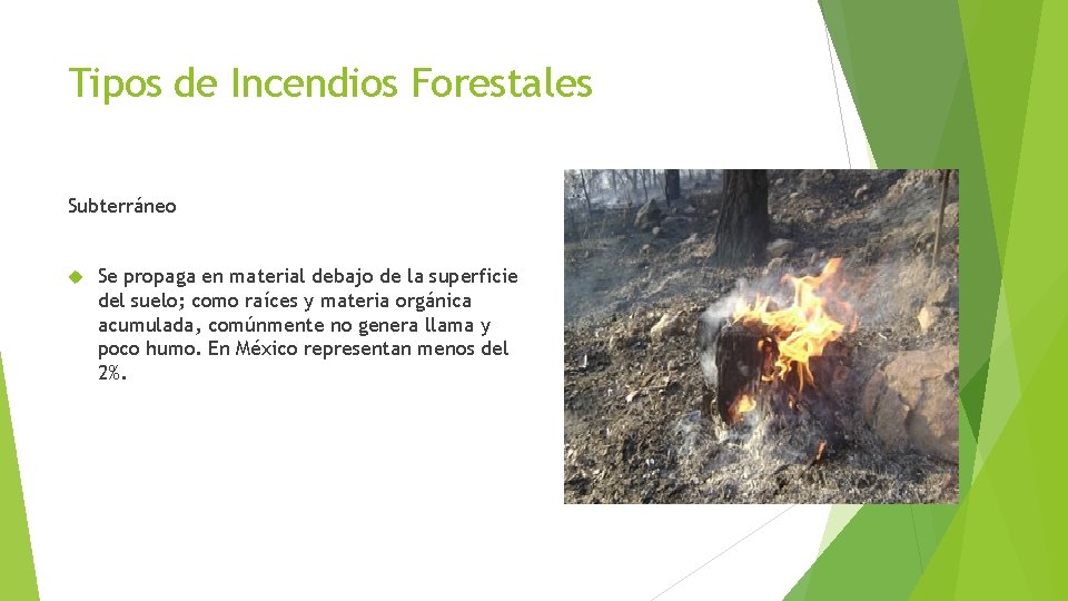 Tipos de Incendios Forestales Subterráneo Se propaga en material debajo de la superficie del