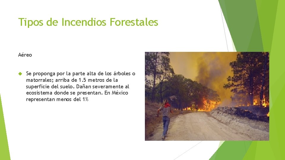 Tipos de Incendios Forestales Aéreo Se proponga por la parte alta de los árboles