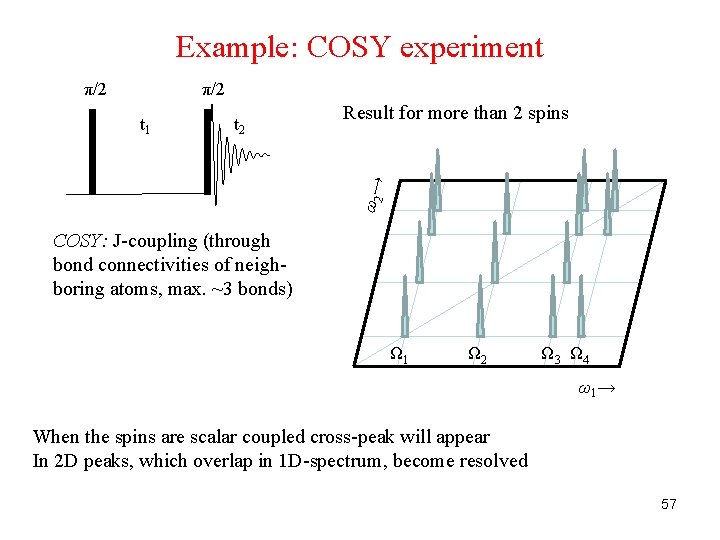 Example: COSY experiment π/2 t 2 Result for more than 2 spins ω2 →