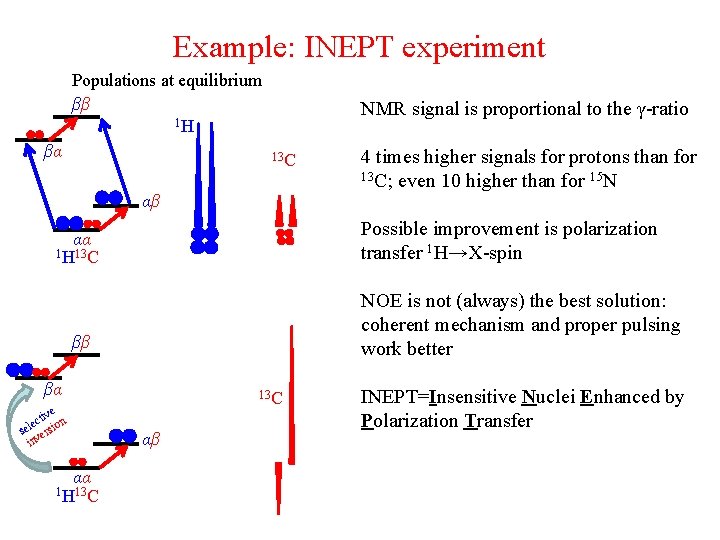 Example: INEPT experiment Populations at equilibrium ββ 1 H βα NMR signal is proportional