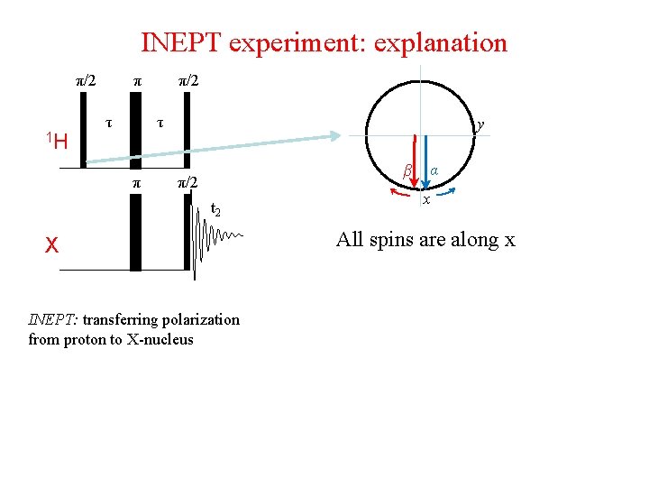 INEPT experiment: explanation π/2 π τ 1 H π/2 τ π y β π/2