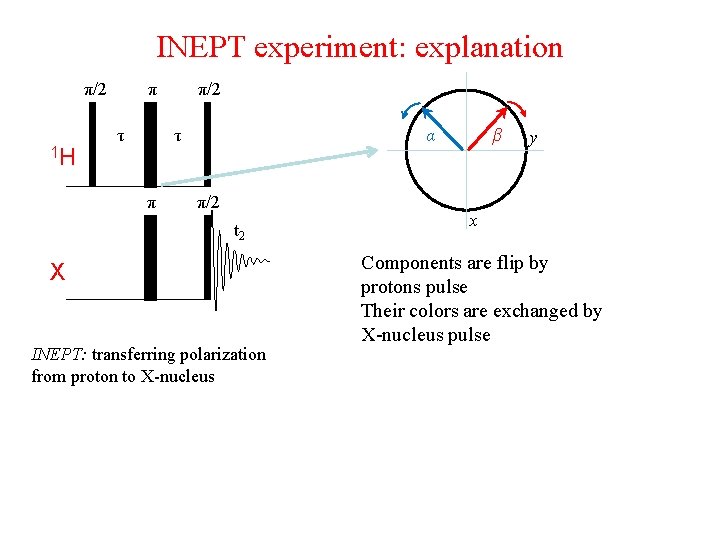 INEPT experiment: explanation π/2 π τ 1 H π/2 τ π α π/2 t