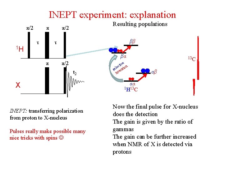 INEPT experiment: explanation π/2 π τ 1 H Resulting populations π/2 ββ τ βα