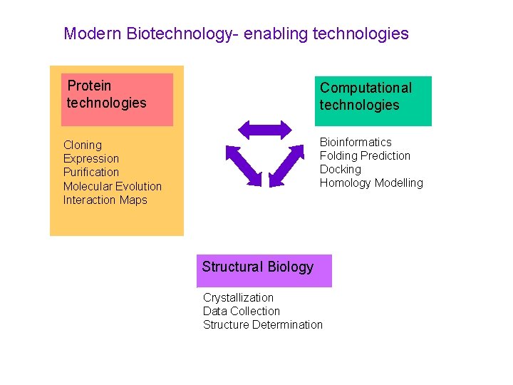 Modern Biotechnology- enabling technologies Protein technologies Computational technologies Bioinformatics Folding Prediction Docking Homology Modelling