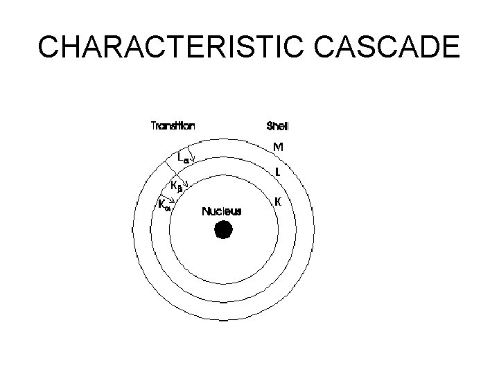 CHARACTERISTIC CASCADE 