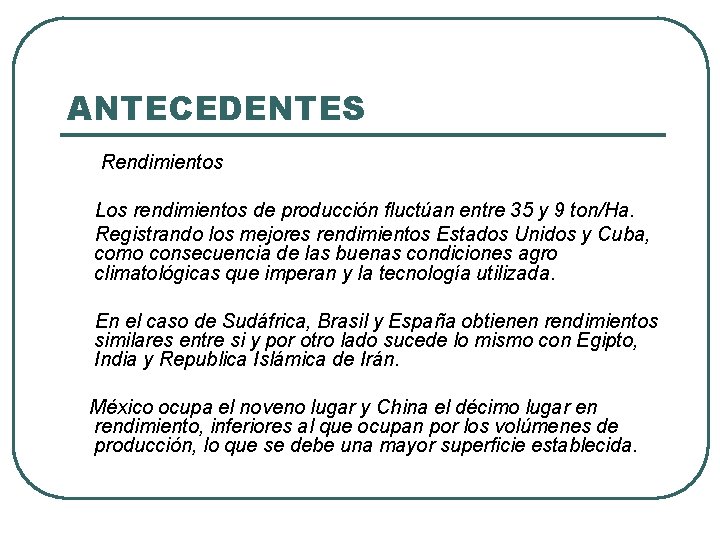 ANTECEDENTES Rendimientos Los rendimientos de producción fluctúan entre 35 y 9 ton/Ha. Registrando los