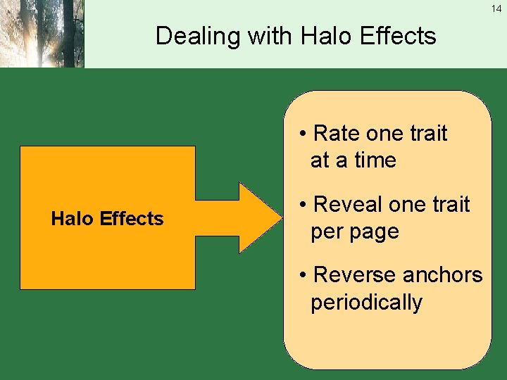 14 Dealing with Halo Effects • Rate one trait at a time Halo Effects