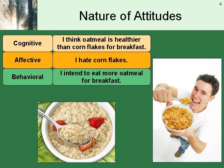 4 Nature of Attitudes Cognitive I think oatmeal is healthier than corn flakes for