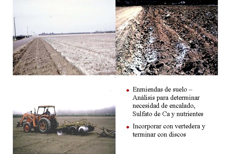 u u Enmiendas de suelo – Análisis para determinar necesidad de encalado, Sulfato de u u Enmiendas de suelo – Análisis para determinar necesidad de encalado, Sulfato de
