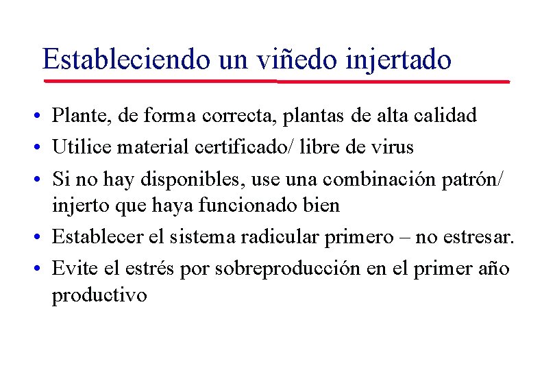 Estableciendo un viñedo injertado • Plante, de forma correcta, plantas de alta calidad • Estableciendo un viñedo injertado • Plante, de forma correcta, plantas de alta calidad •