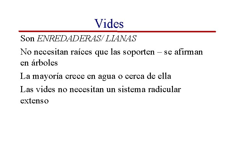 Vides Son ENREDADERAS/ LIANAS No necesitan raíces que las soporten – se afirman en Vides Son ENREDADERAS/ LIANAS No necesitan raíces que las soporten – se afirman en