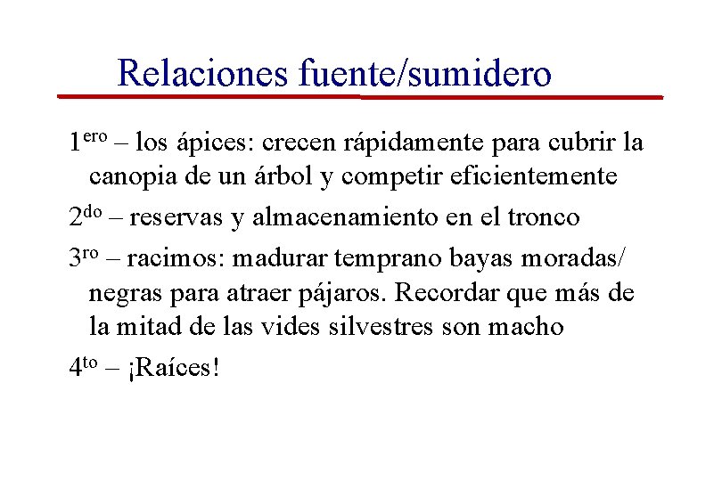 Relaciones fuente/sumidero 1 ero – los ápices: crecen rápidamente para cubrir la canopia de Relaciones fuente/sumidero 1 ero – los ápices: crecen rápidamente para cubrir la canopia de