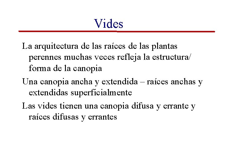 Vides La arquitectura de las raíces de las plantas perennes muchas veces refleja la Vides La arquitectura de las raíces de las plantas perennes muchas veces refleja la