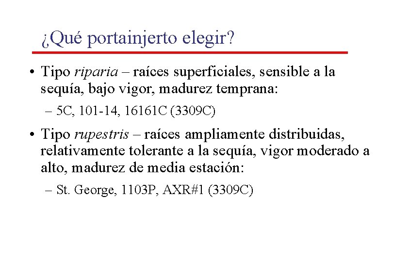 ¿Qué portainjerto elegir? • Tipo riparia – raíces superficiales, sensible a la sequía, bajo ¿Qué portainjerto elegir? • Tipo riparia – raíces superficiales, sensible a la sequía, bajo