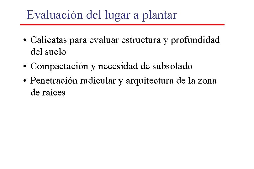 Evaluación del lugar a plantar • Calicatas para evaluar estructura y profundidad del suelo Evaluación del lugar a plantar • Calicatas para evaluar estructura y profundidad del suelo