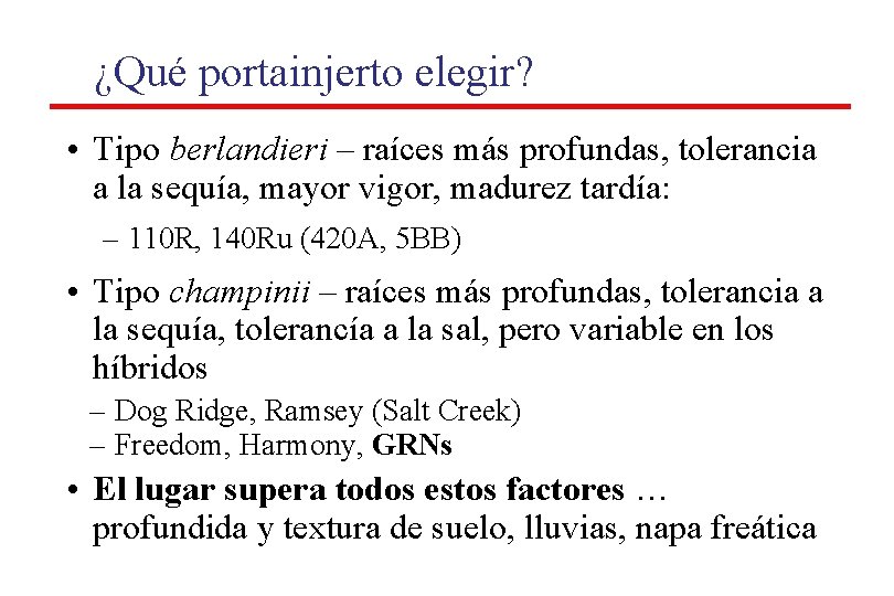 ¿Qué portainjerto elegir? • Tipo berlandieri – raíces más profundas, tolerancia a la sequía, ¿Qué portainjerto elegir? • Tipo berlandieri – raíces más profundas, tolerancia a la sequía,