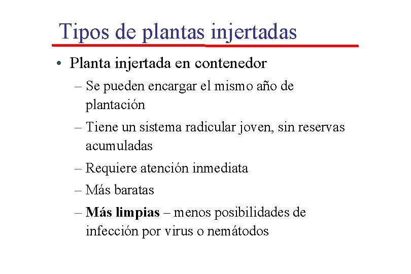 Tipos de plantas injertadas • Planta injertada en contenedor – Se pueden encargar el Tipos de plantas injertadas • Planta injertada en contenedor – Se pueden encargar el